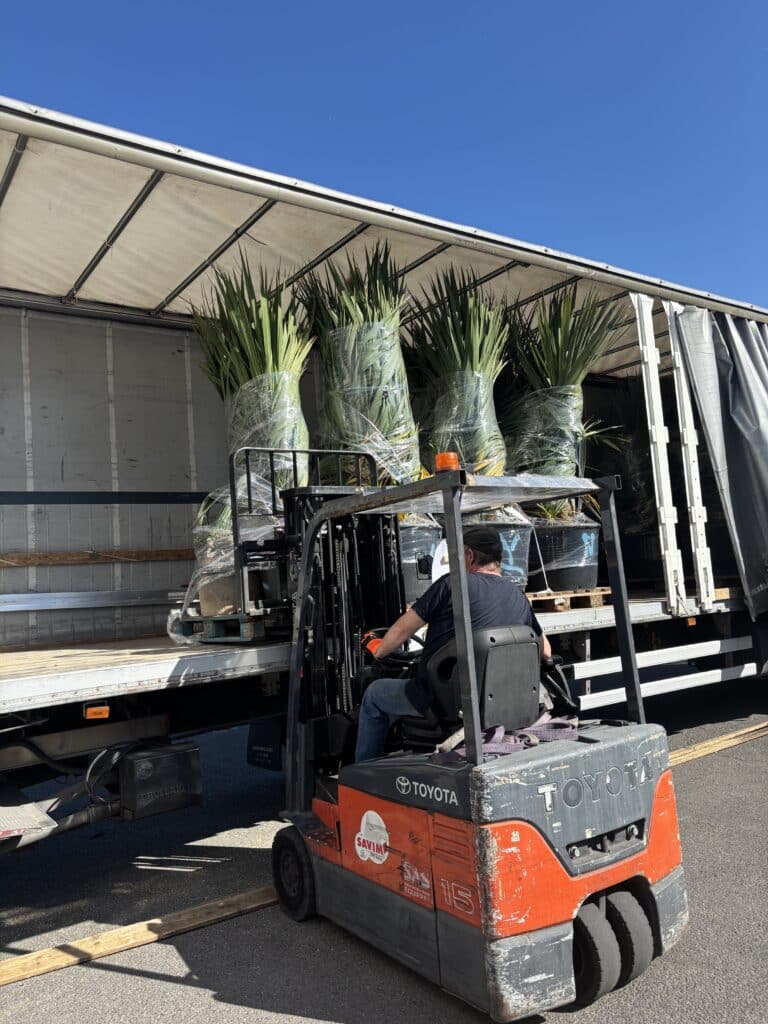 Hayon, tautliners, un équipement de transport de marchandises de haute qualité